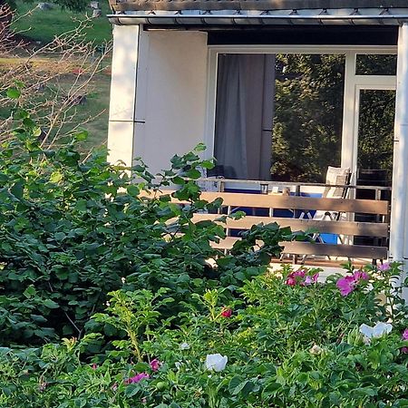 Gemuetliche Moderne Ferienwohnung Inkl. Wlan In St Andreasberg/Braunlange ザンクト・アンドレーアスベルク エクステリア 写真